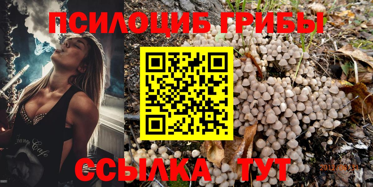 Галлюциногенные грибы Magic Shrooms  Вход с VPN  Надым 